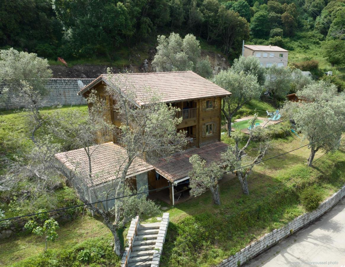 Apartment Oliveraie D'olmiccia Olmiccia