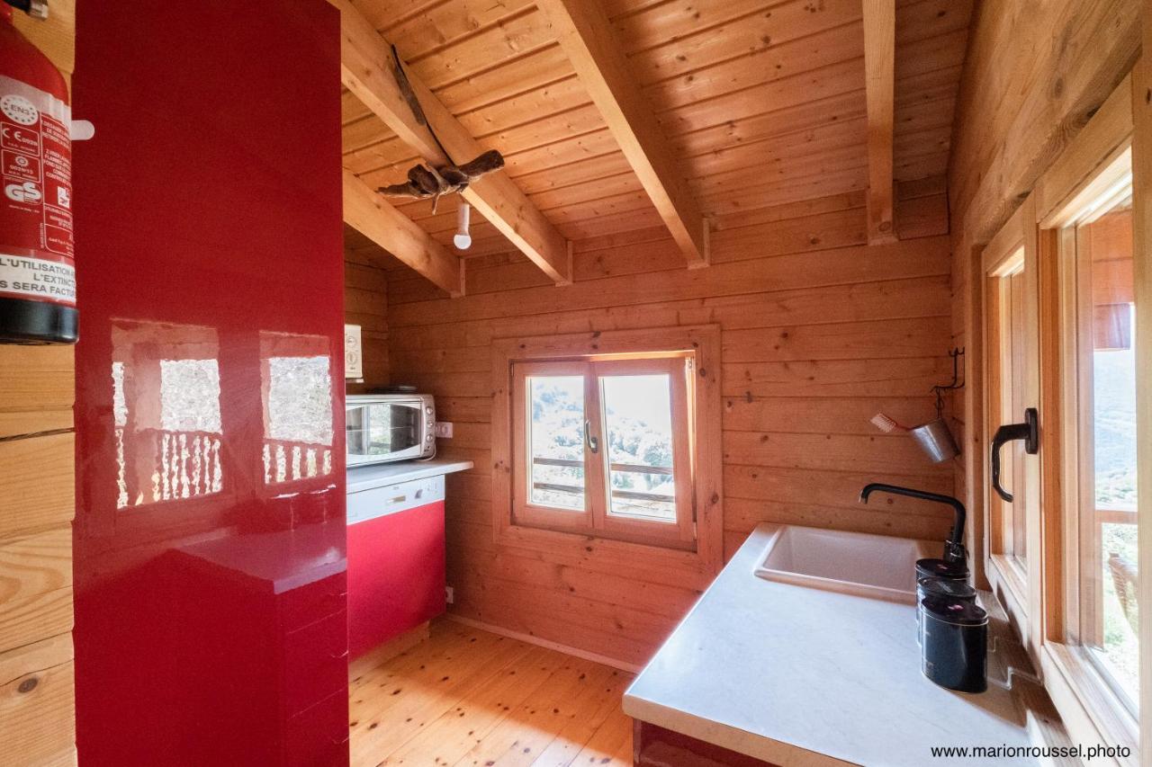 Oliveraie D'olmiccia Appartement Olmiccia